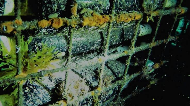 Cayetano Sánchez Butrón, CEO de Bodega Submarina del Mediterráneo, en Hoy por Hoy Alicante: «Bienvenidos al mundo del vino submarino»