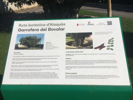 Caracteristicas de la garrofera