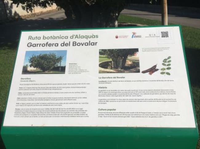 Caracteristicas de la garrofera