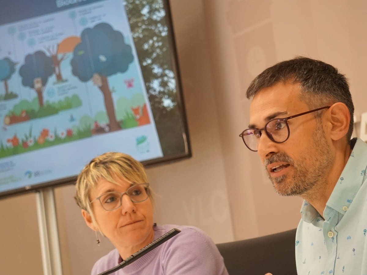 Compromís denuncia que un informe jurídico del Ayuntamiento de València certifica que el gobierno de Catalá margina y excluye el valenciano