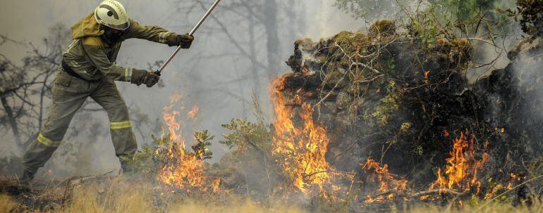 Un brigadista trabaja en la extinción de un incendio en Galicia.