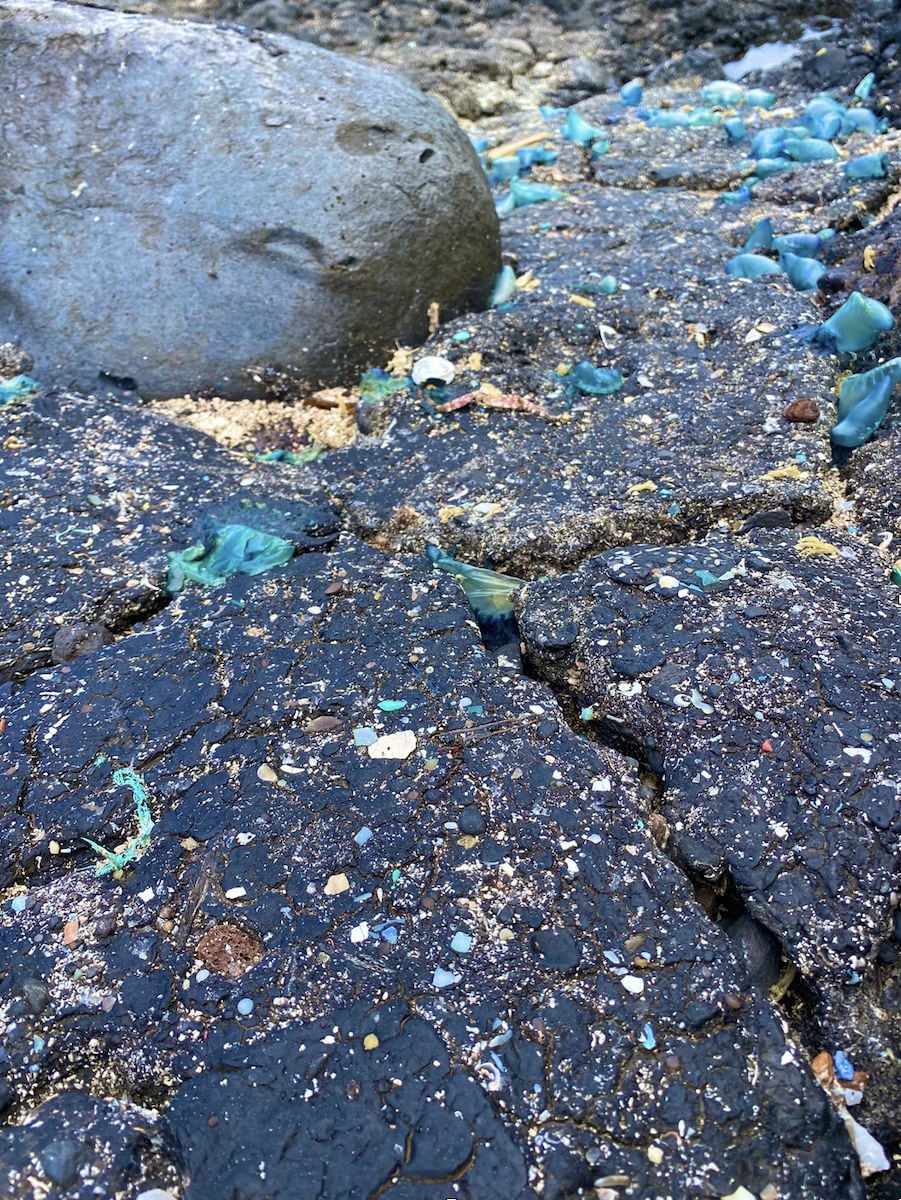 Restos de Plastitar encontrados en El Hierro