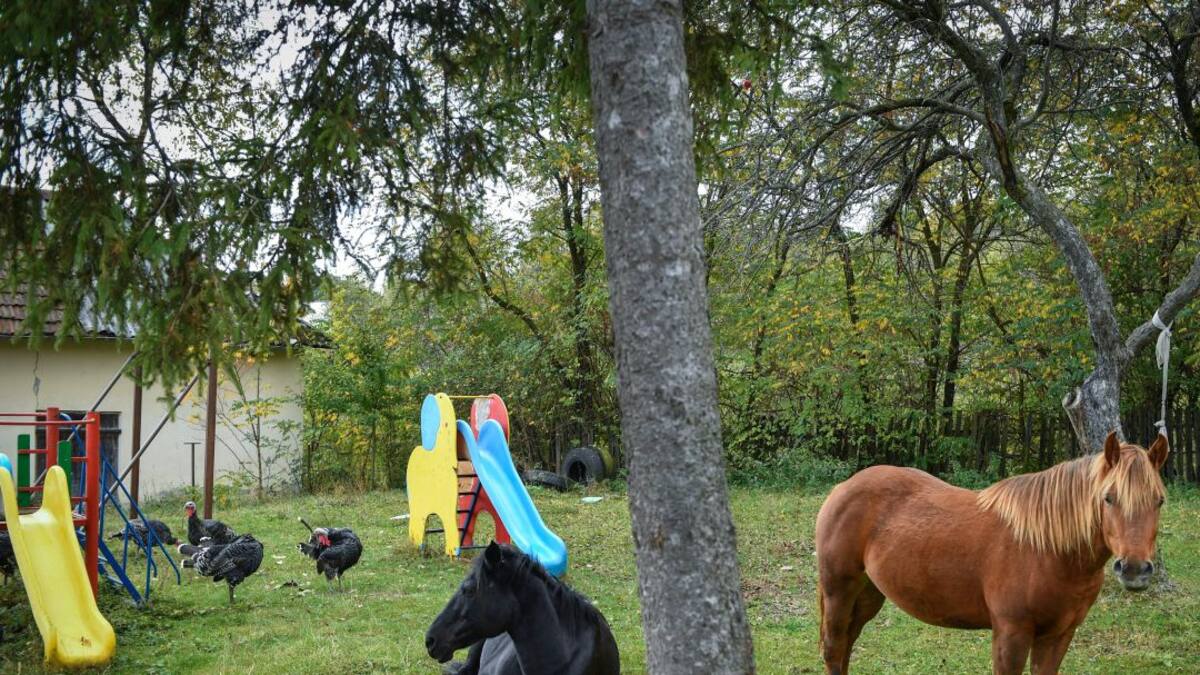 Apertura de colegios rurales como forma de combatir la pandemia