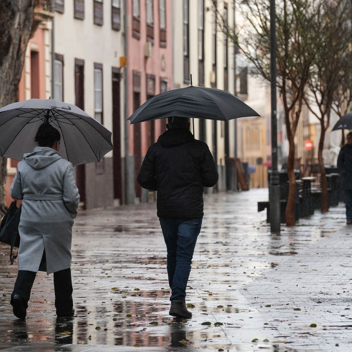 La borrasca Therese afectará a Canarias con importantes lluvias y fuertes rachas de viento