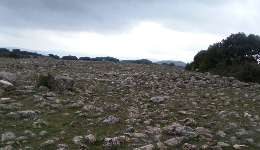 Imagen de la Vía Augusta que transcurre por el Campo de Montiel (Ciudad Real) 