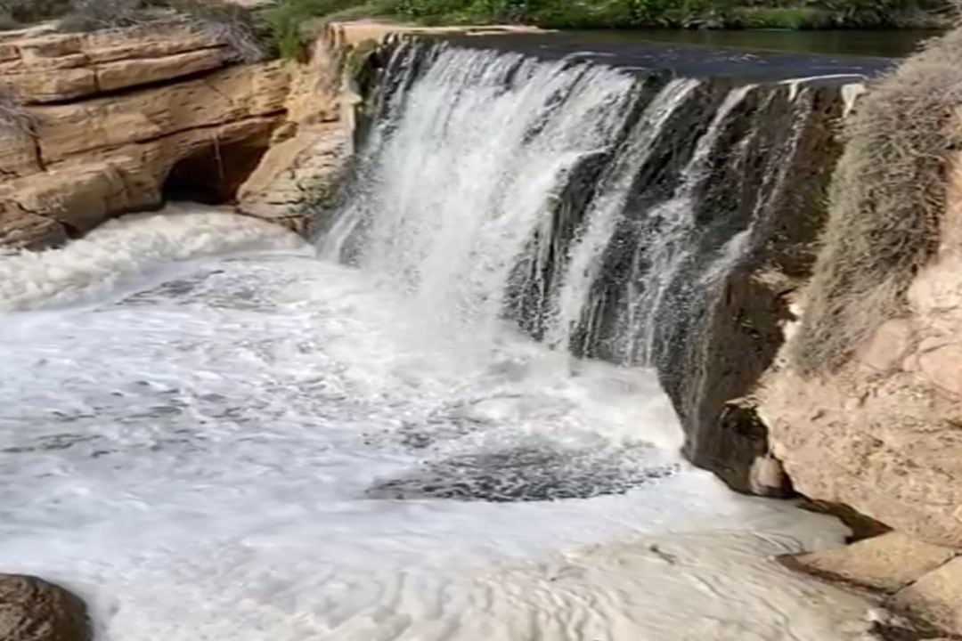 La concejalía de Medio Ambiente de Novelda muestra su preocupación por la contaminación que sufre el río Vinalopó a su paso por el municipio