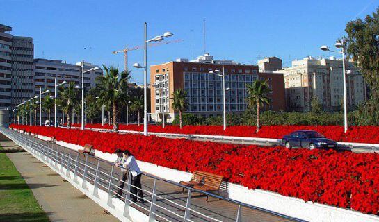 Imagen de archivo del puente de las flores cuando se llenaban de ponsetia todos los maceteros