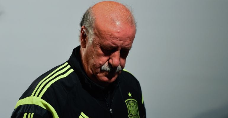 Vicente Del Bosque, durante el Mundial de Brasil 2014