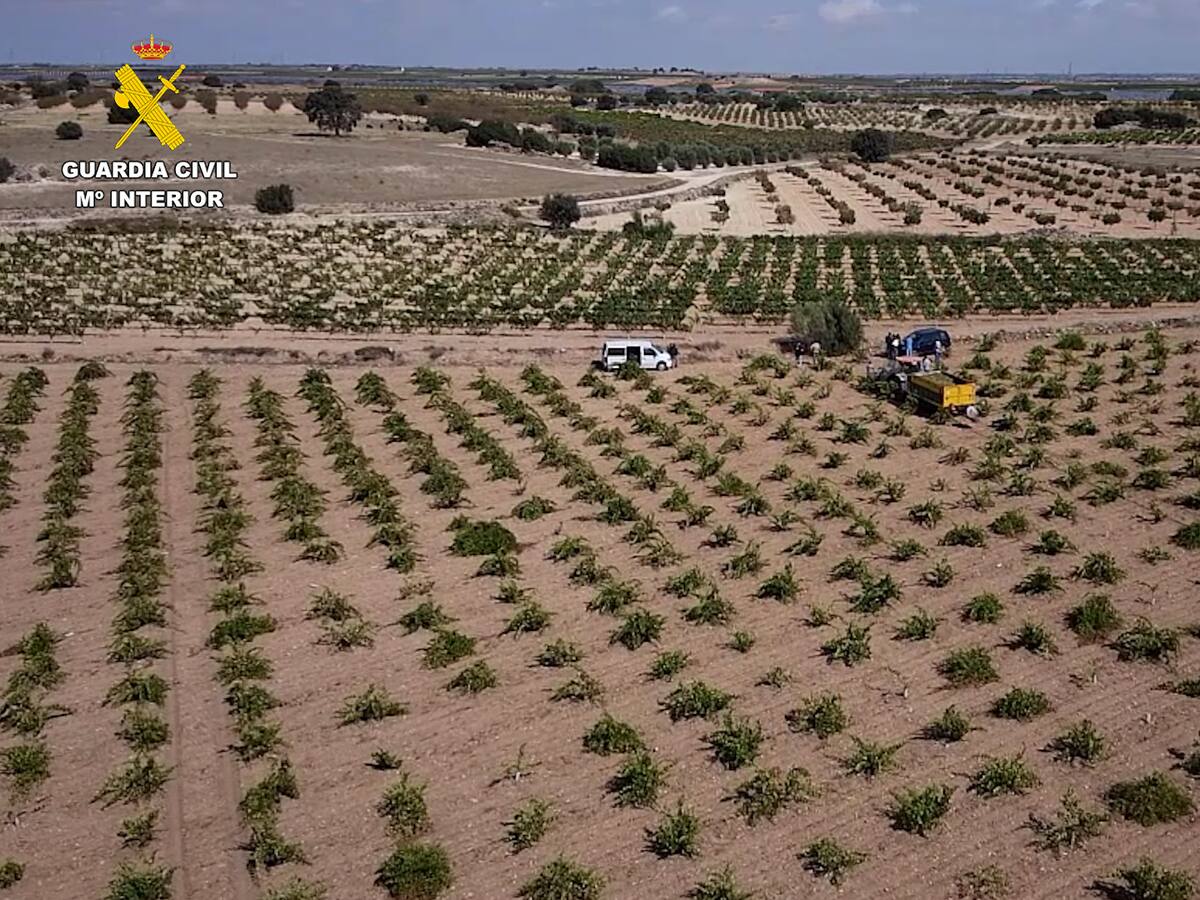 Desarticulada una organización en Hellín dedicada a explotar laboralmente a extranjeros en situación irregular