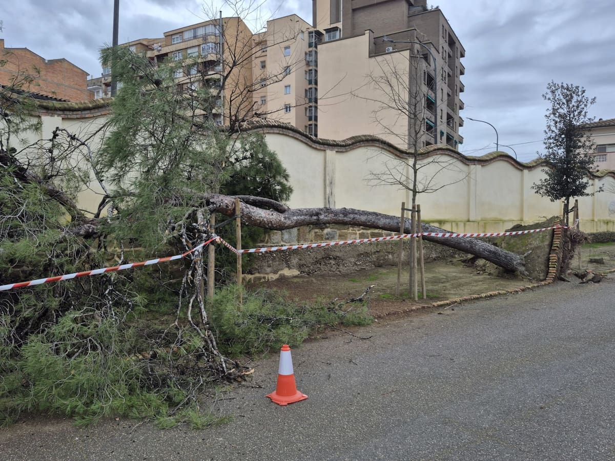 Tancats temporalment dos boxs de l'UCI de l'Hospital Santa Maria de Lleida per goteres