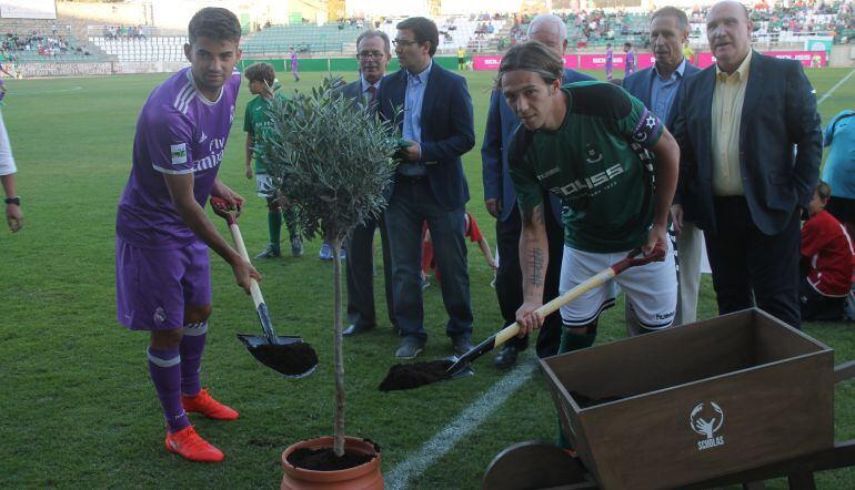 Los capitanes de Toledo y Castilla participaron, simbólicamente, en la plantación del Olivo de la Paz. Campaña de la Fundación Scholas en la que han participado el Toledo y sus patrocinadores Soliss y Finisterre 