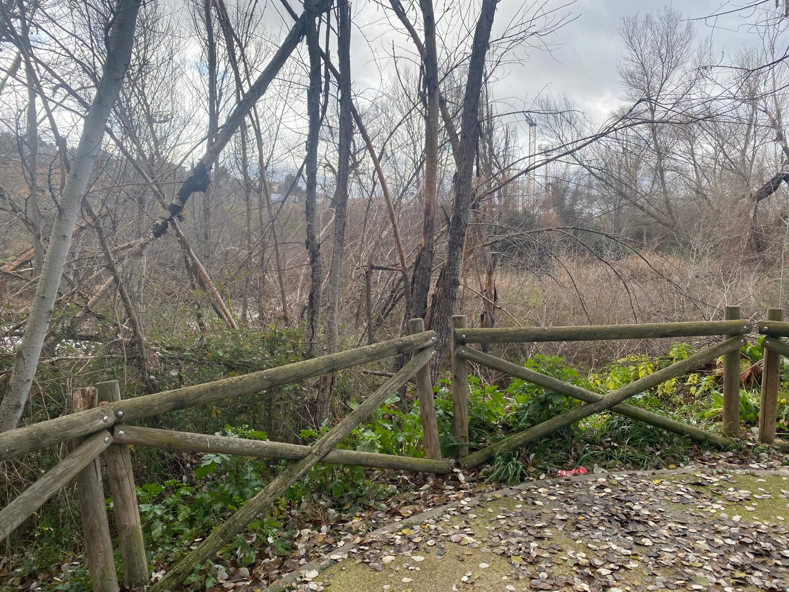 Árboles secos y maleza impide ver el río desde uno de los miradores