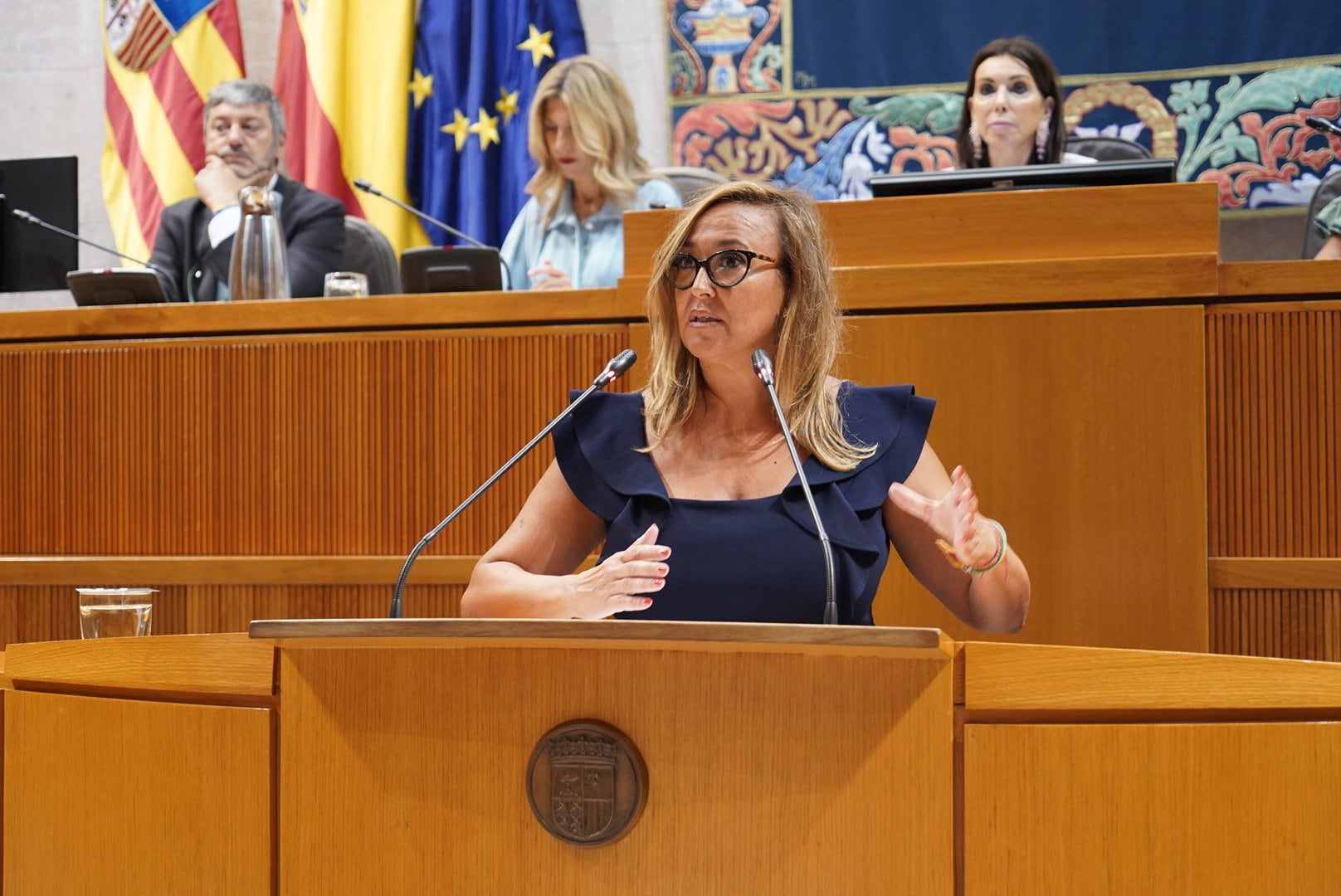 Intervención de la portavoz del PSOE en las Cortes de Aragón, Mayte Pérez