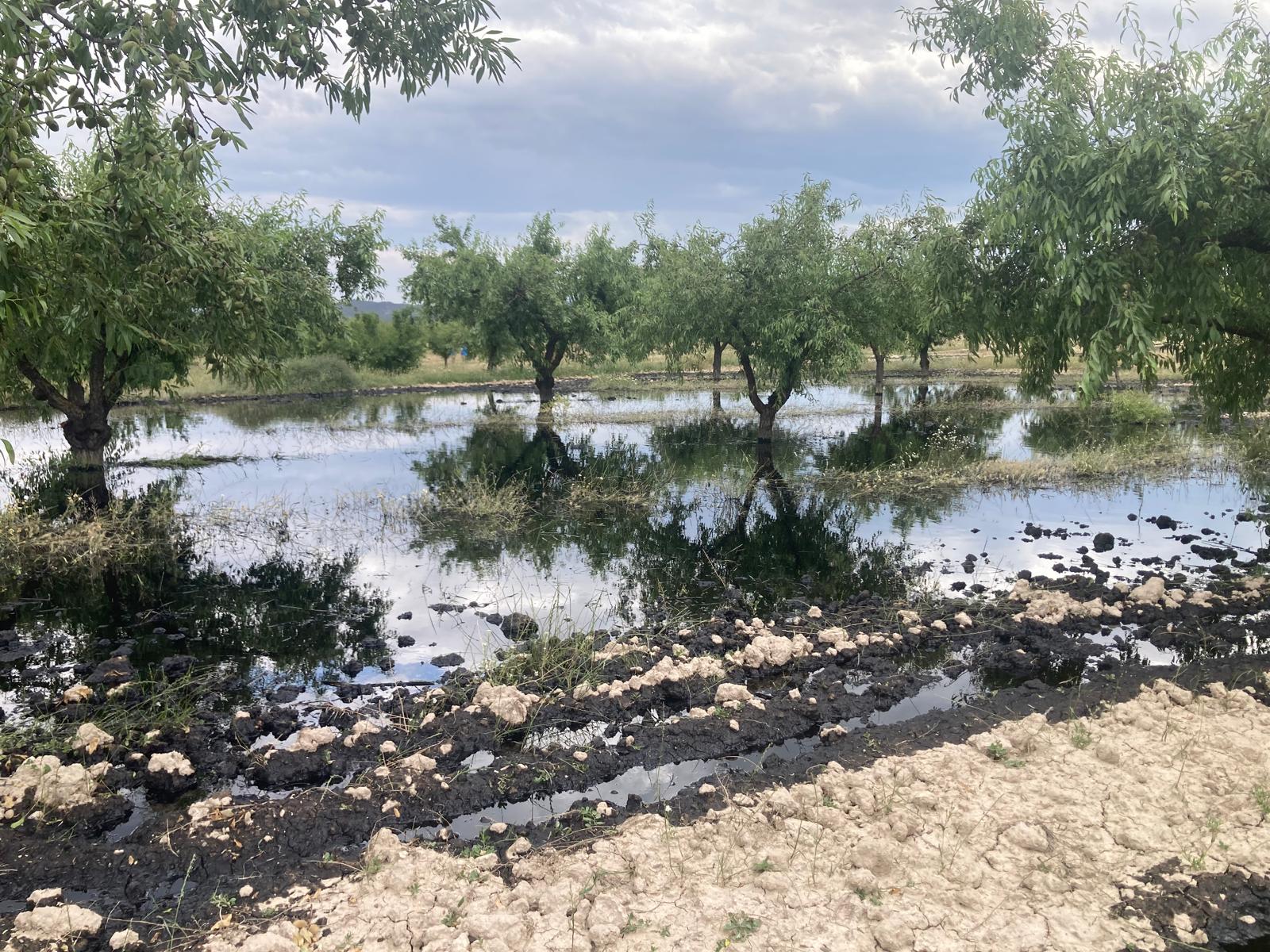 Vertido petróleo en una finca agrícola en Calasparra por la rotura del oleoducto Cartagena-Puertollano