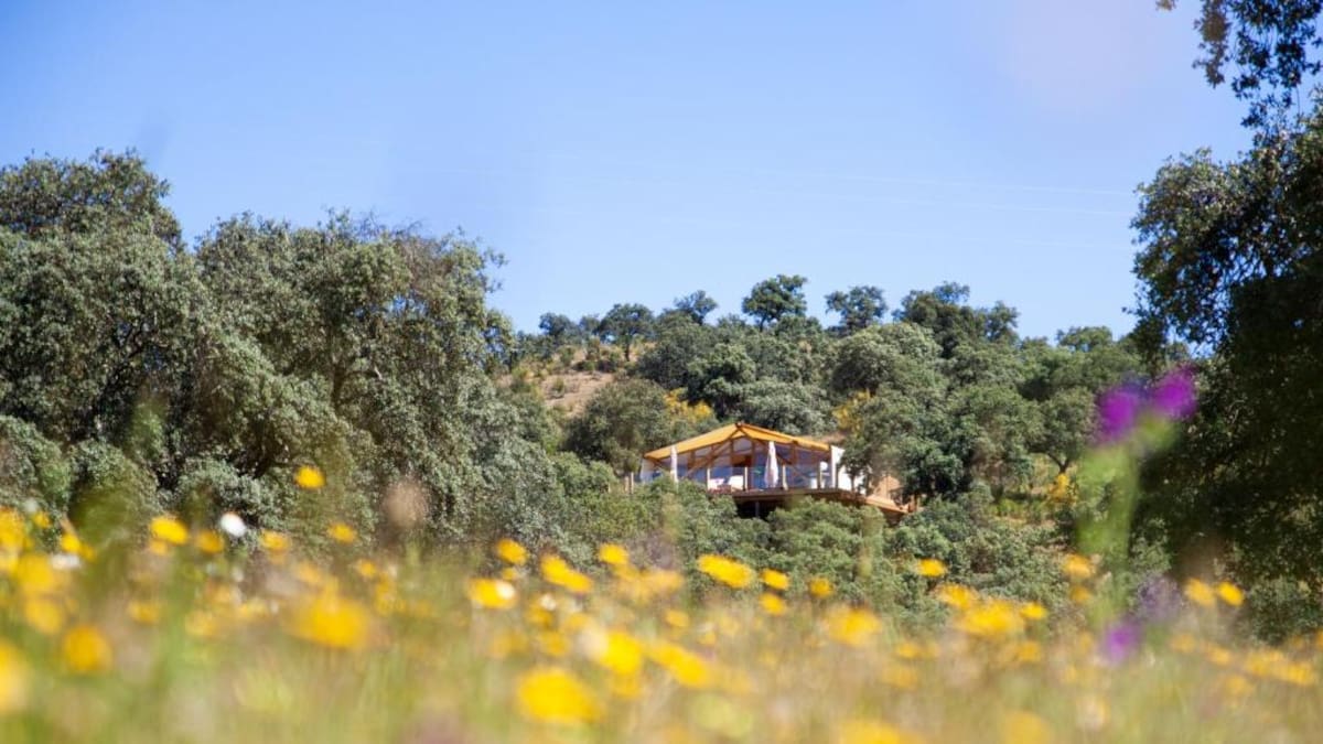 La primavera vuelve a Córdoba con todo su esplendor