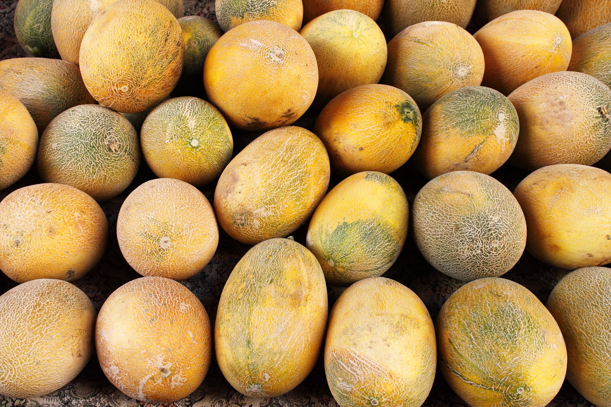 Melones amarillos de Marruecos.