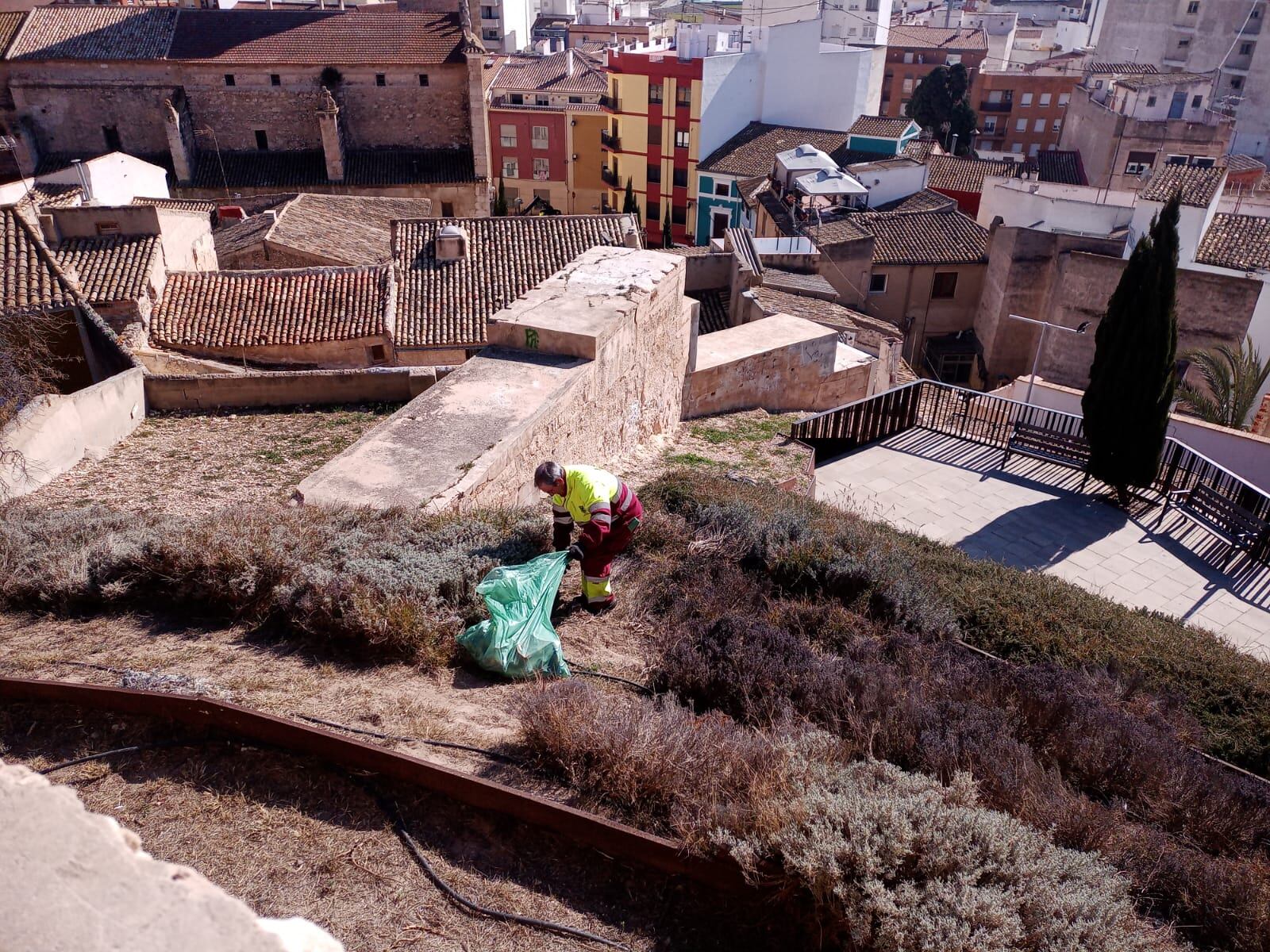 Limpieza en inmediaciones del Castillo