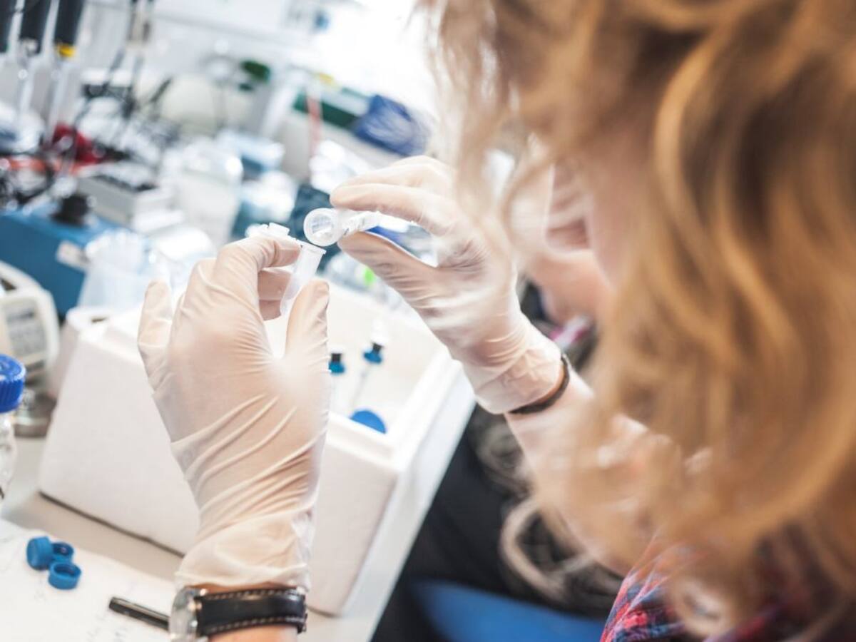 Una investigación de Biogune identifica las moléculas que mantienen las respuesta inflamatoria ante la COVID