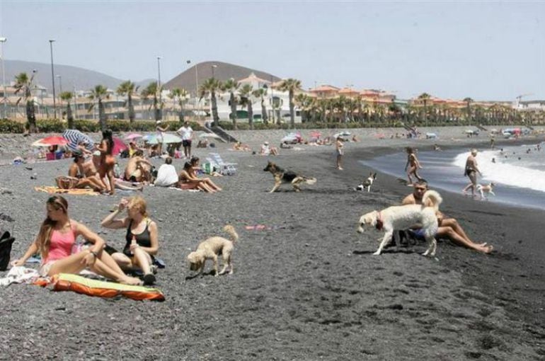 Playa de perros en Tenerife