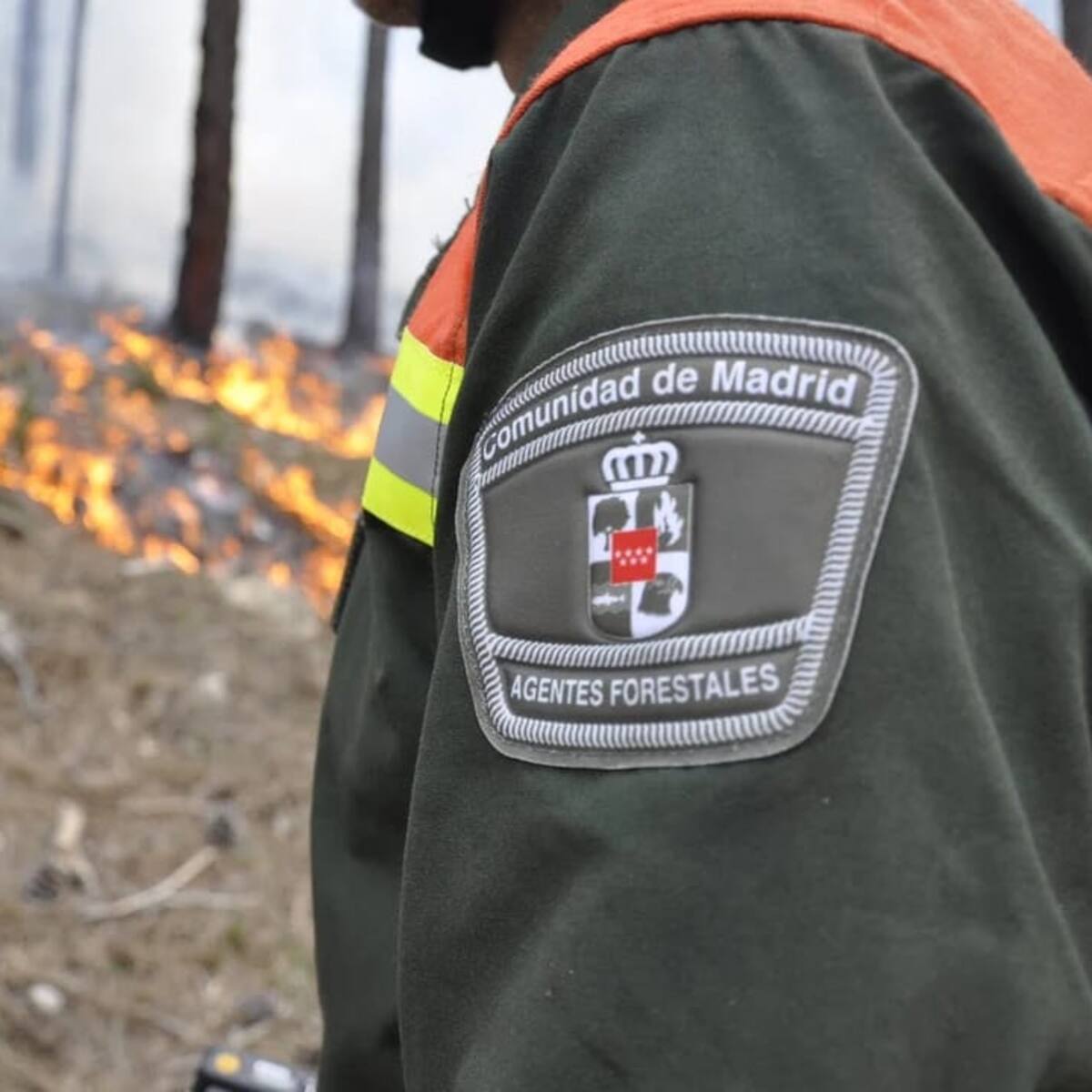 CSIF y CCOO afirman que la Comunidad de Madrid no dispone de un sistema adecuado de lucha contra los incendios