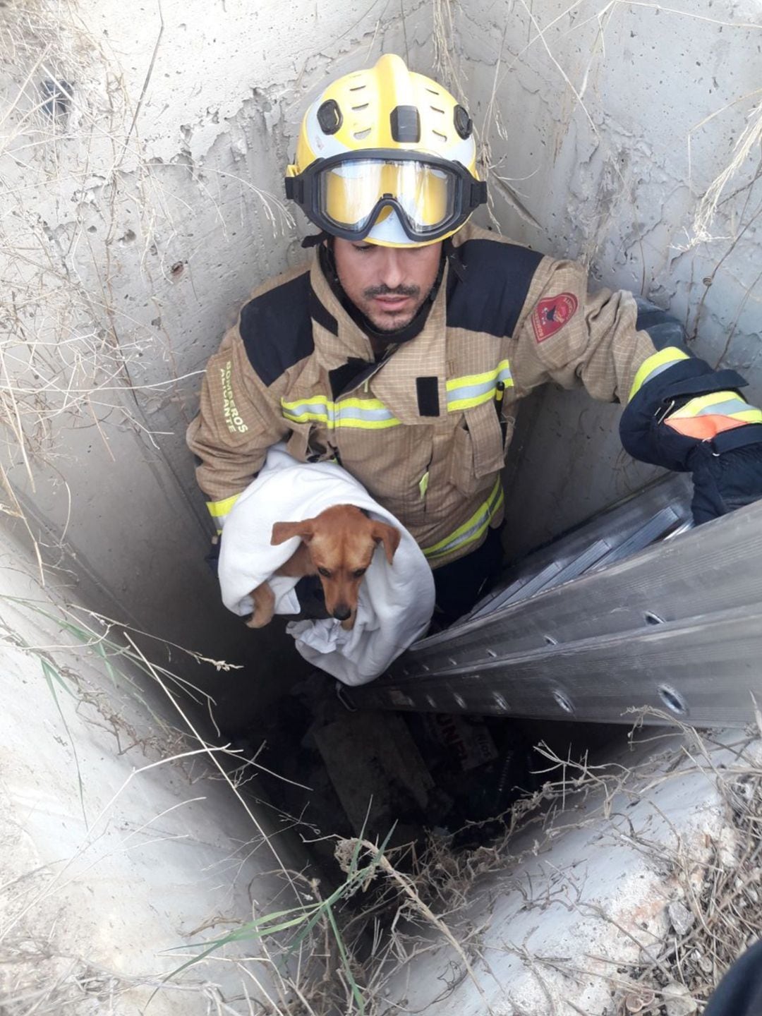 Imagen del rescate del perro caido en un pozo de la calle Plutón