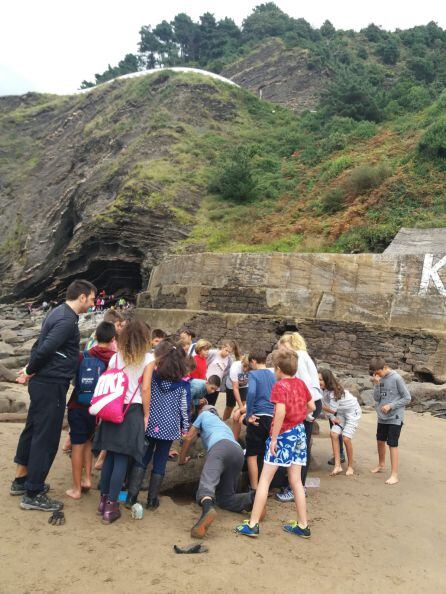 Los pulpos han sido la sensación de la mañana