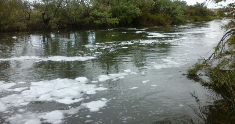 Imágenes del río Jarama a su paso por Aranjuez