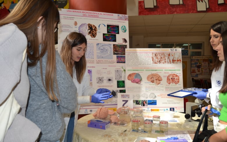 Mujeres y neurociencia (Archivo)