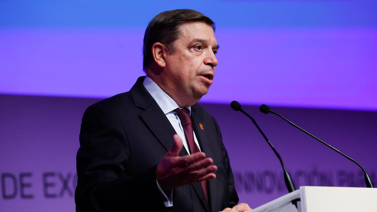 Planas anuncia un incremento del 84% en la cuota de merluza sur para España durante esta campaña