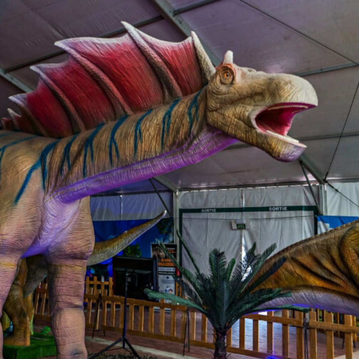 Los dinosaurios a escala real desembarcan este fin de semana en Ficoba con la exposición "Criaturas Jurásicas"
