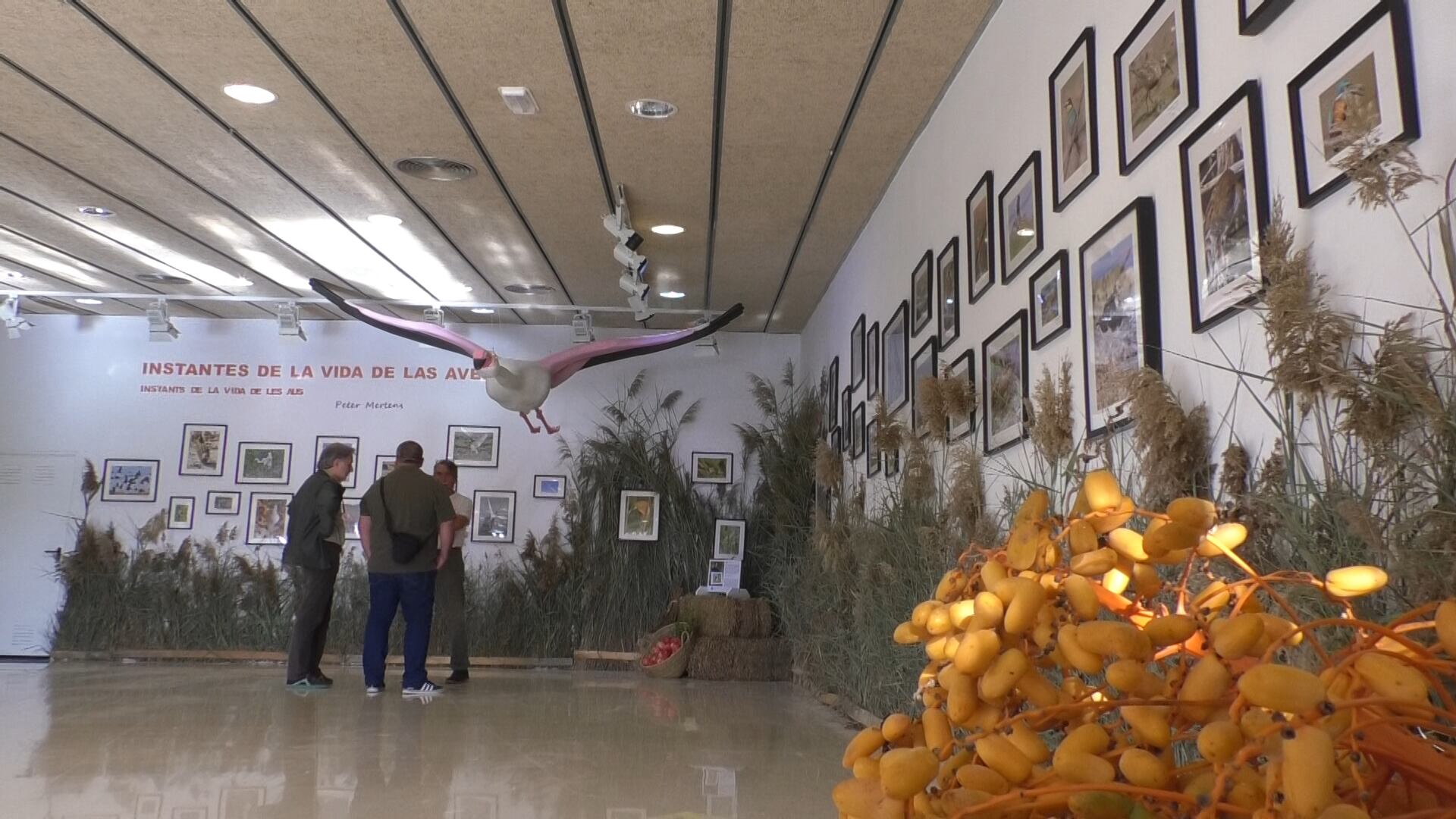 Exposición en El Hondo