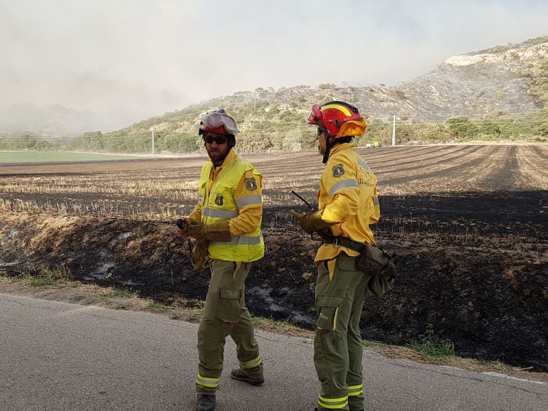 Agentes Medioambientales y de la Brigada de investigación de incendios