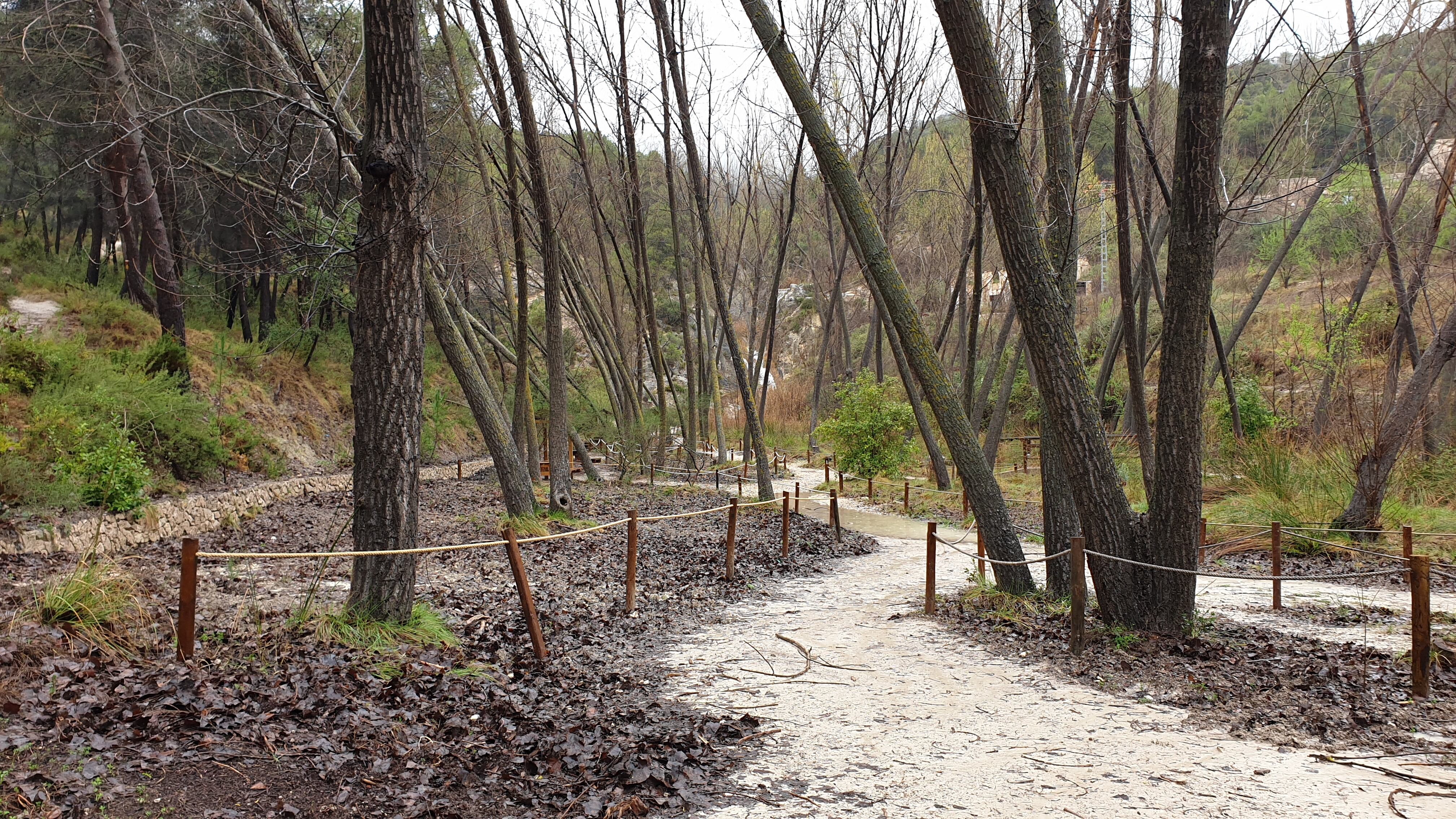 El paraje natural municipal Racó de Sant Bonaventura-Els Canalons de Alcoy en una imagen de archivo.