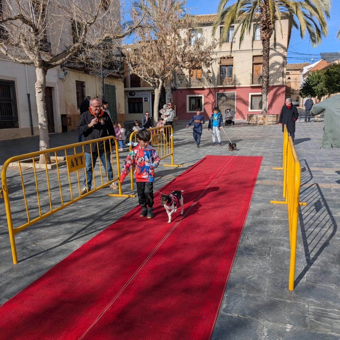 Pasarela de animales en Beneixama