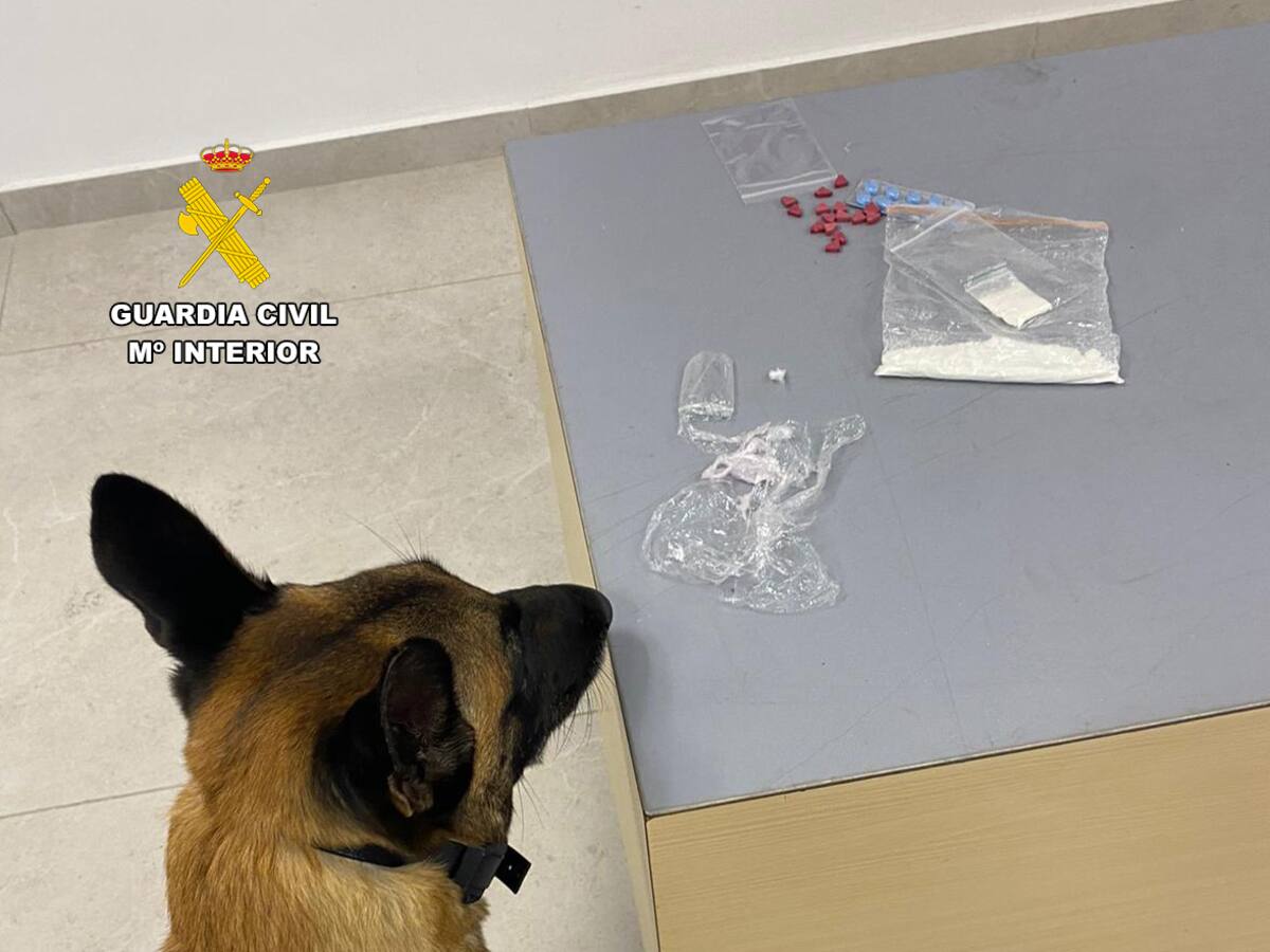 Un perro de la Guardia Civil intercepta en el Aeropuerto de Ibiza cocaína, éxtasis y marihuana ocultos en una maleta