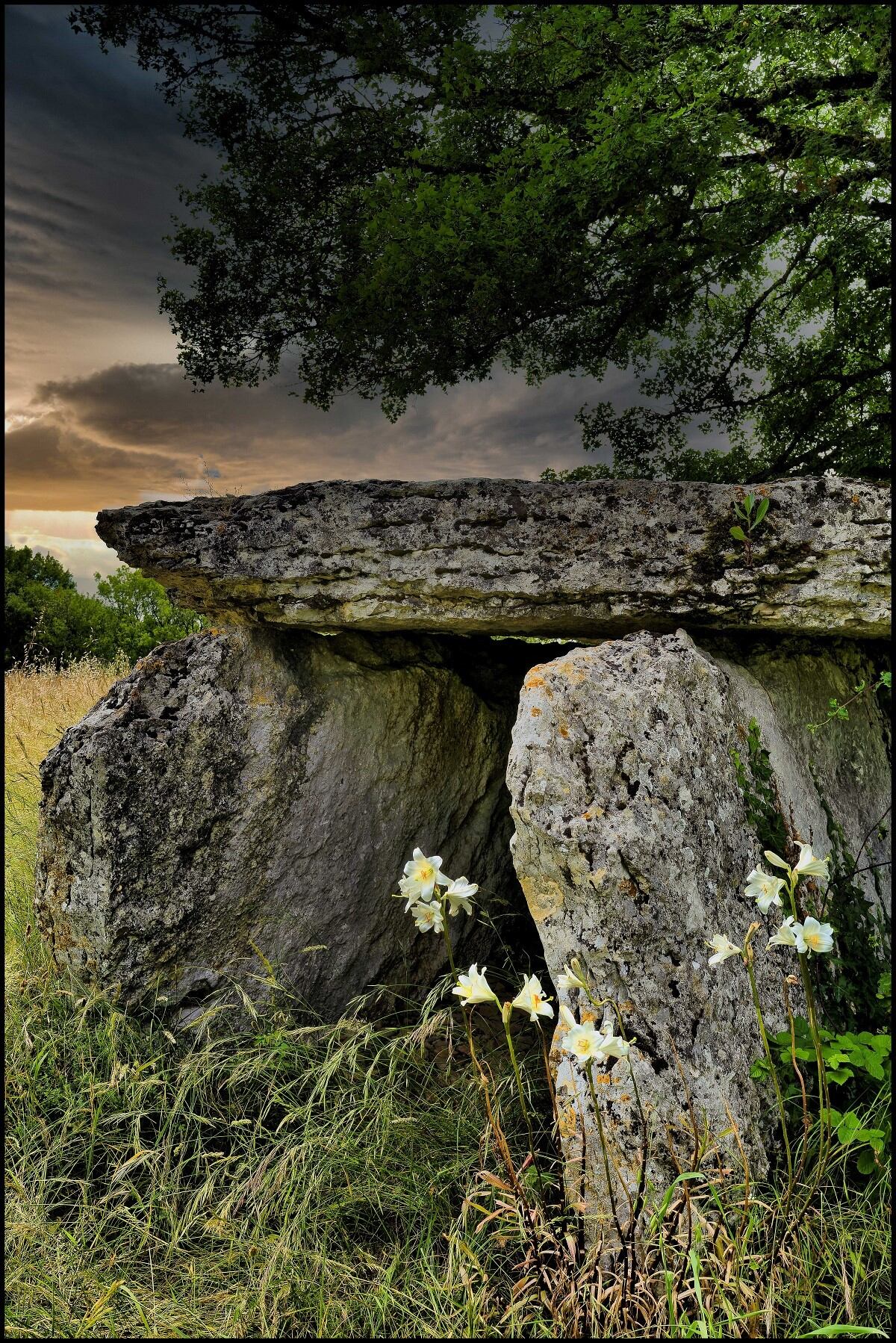 “Dolmen du Mas de Coti”, tercer premio 