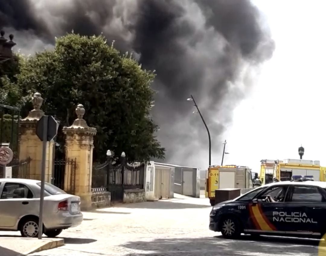 Bomberos y Policía Nacional acudieron al lugar del incendio en Santa Bárbara a la entrada del parque Genovés