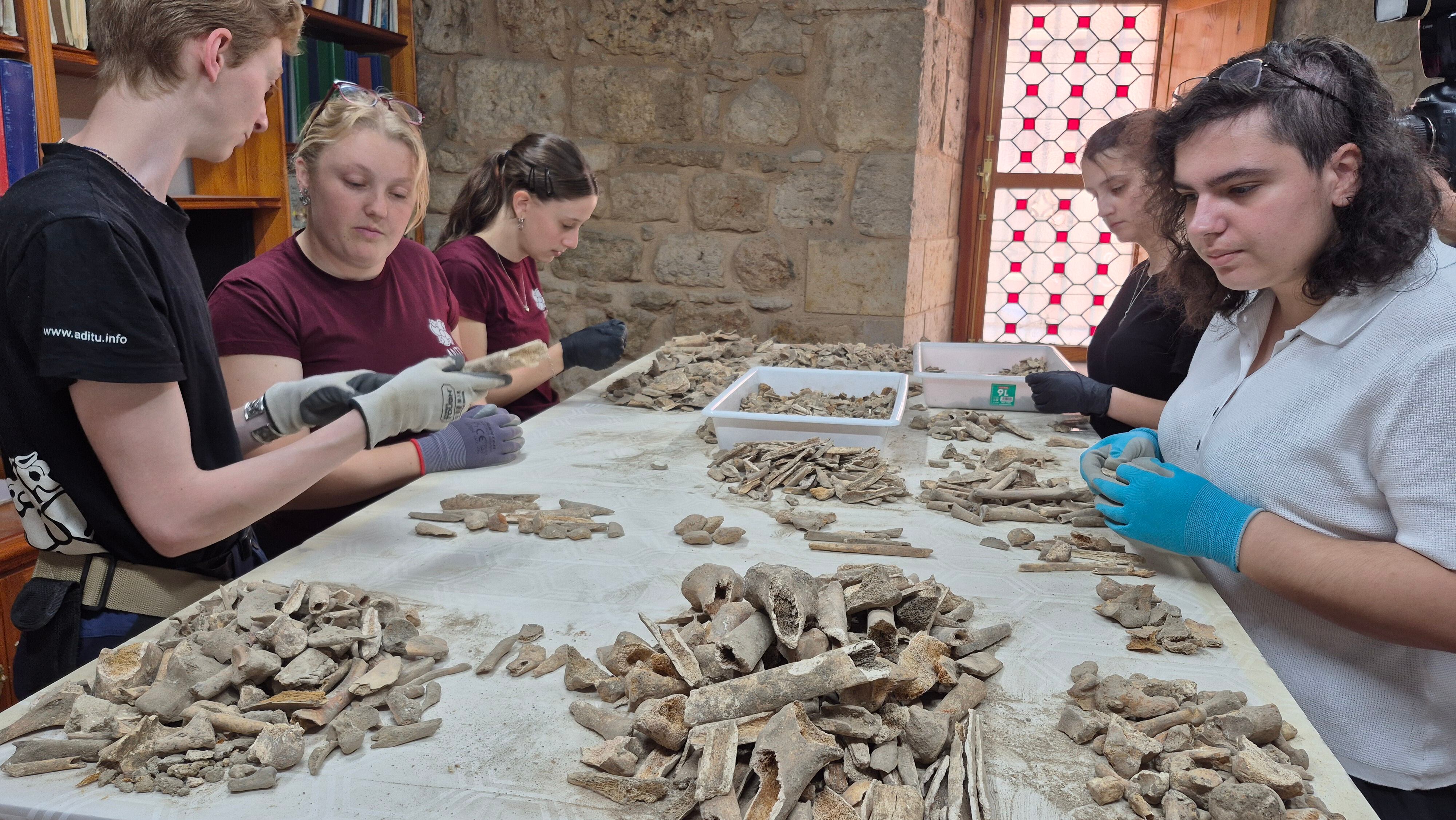 El estudio ostoarqueológico de los restos hallados en la Catedral de Palencia podría analizar hasta 20.000 huesos