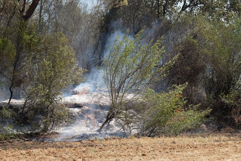 Zona afectada per l&#039;incendi de l&#039;Alt Empordà aquest 6 d&#039;agost del 2016 (Horitzontal)