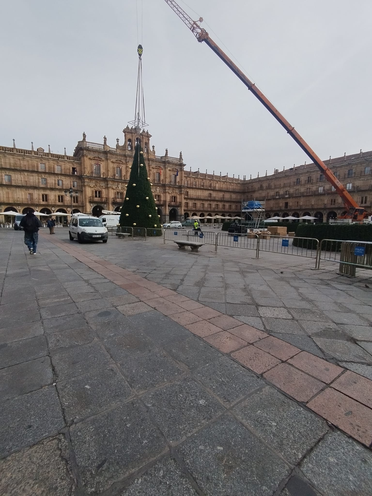 Instalación del nuevo árbol de Navidad gigante ubicado en la Plaza Mayor de Salamanca/Cadena SER