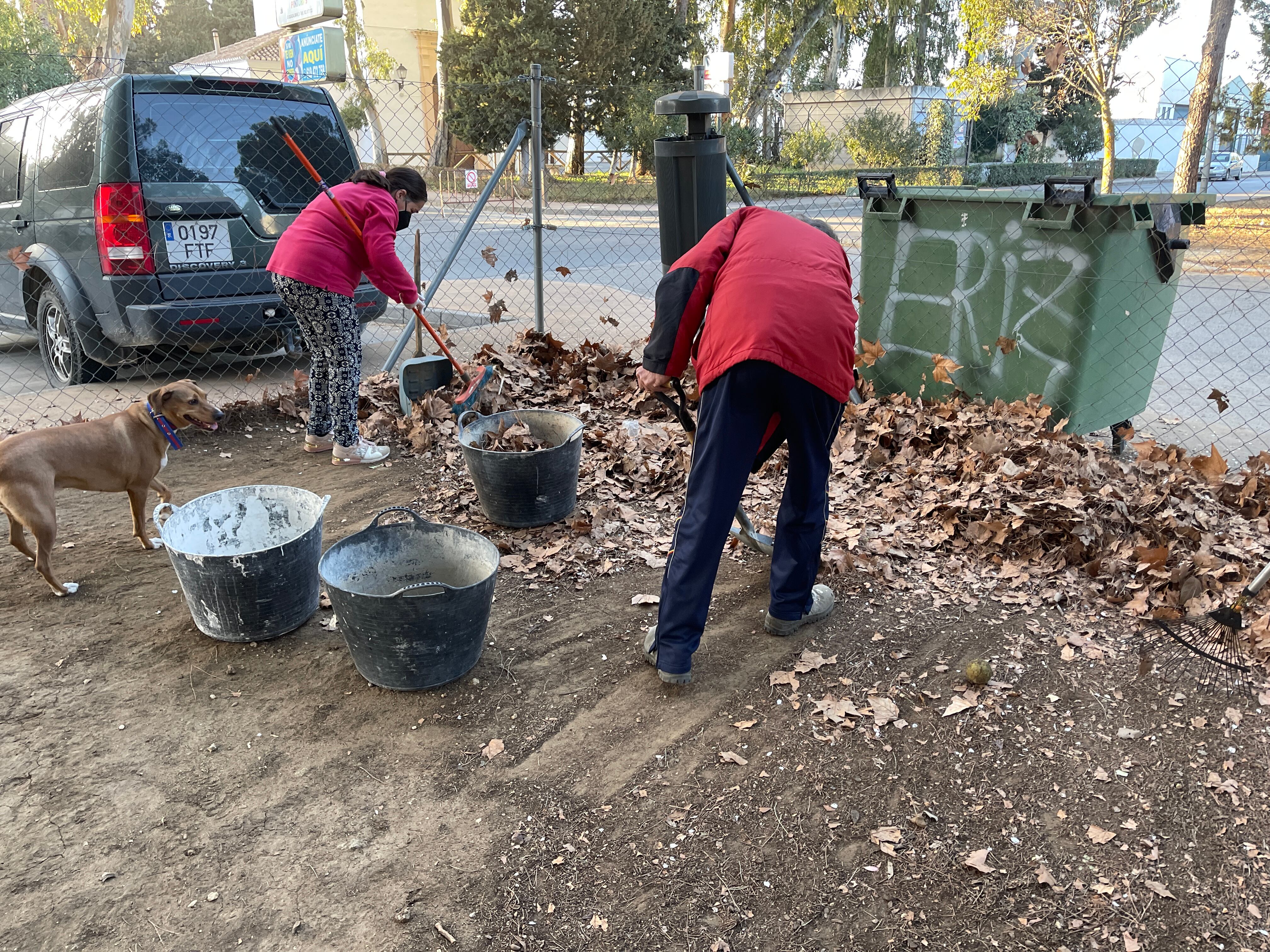 Varios ciudadanos de Ronda limpian el Parque Canino de Ronda el pasado miércoles, 2 de febrero