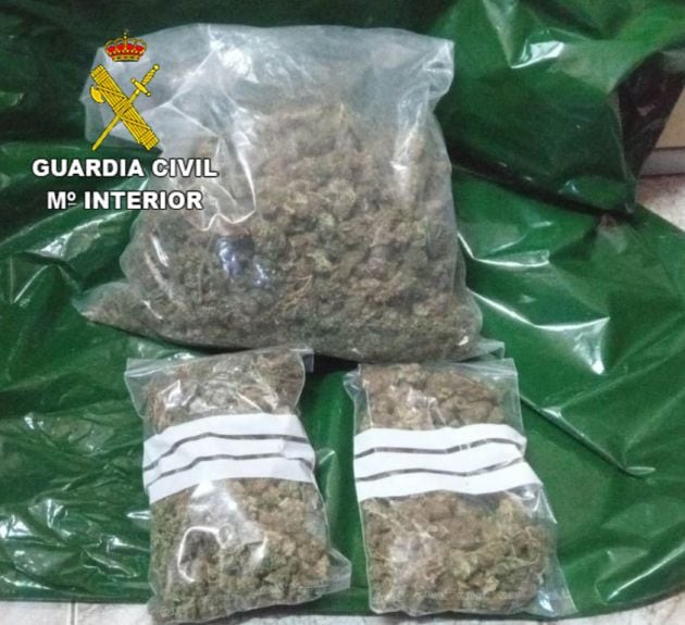 Cogollos de marihuana intervenidos en el control