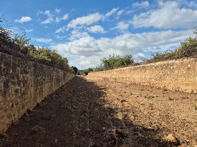 Torrente de sa Llavanera