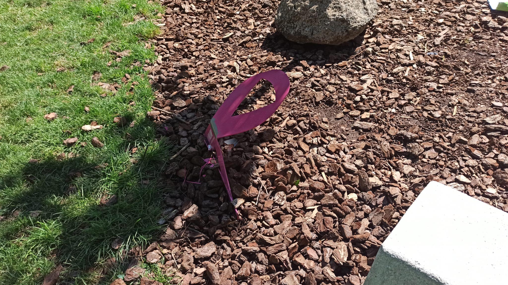 Imagen de los daños sufridos en el jardín de Amuma de Ciudad Real