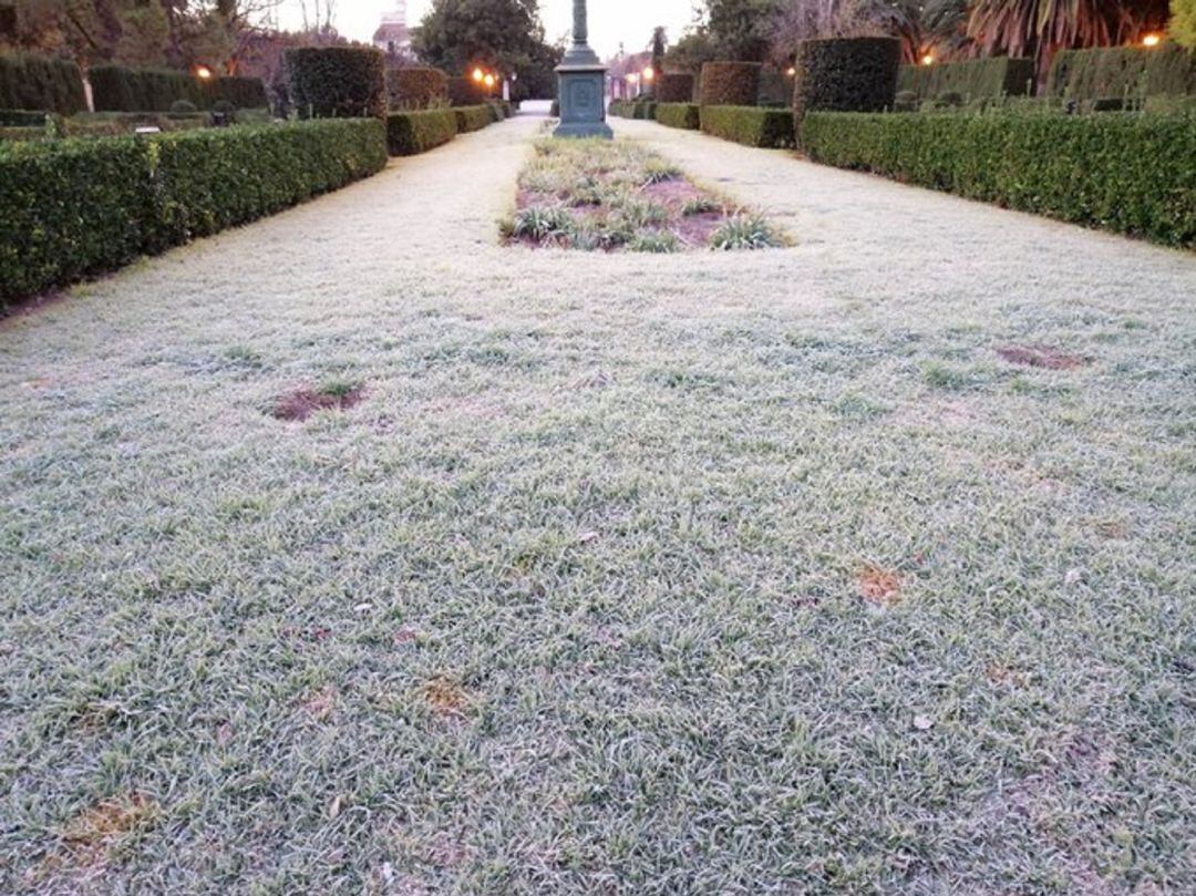 Escarcha en el Jardín de los Viveros