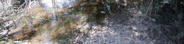 El río Alberche a su paso por Talavera