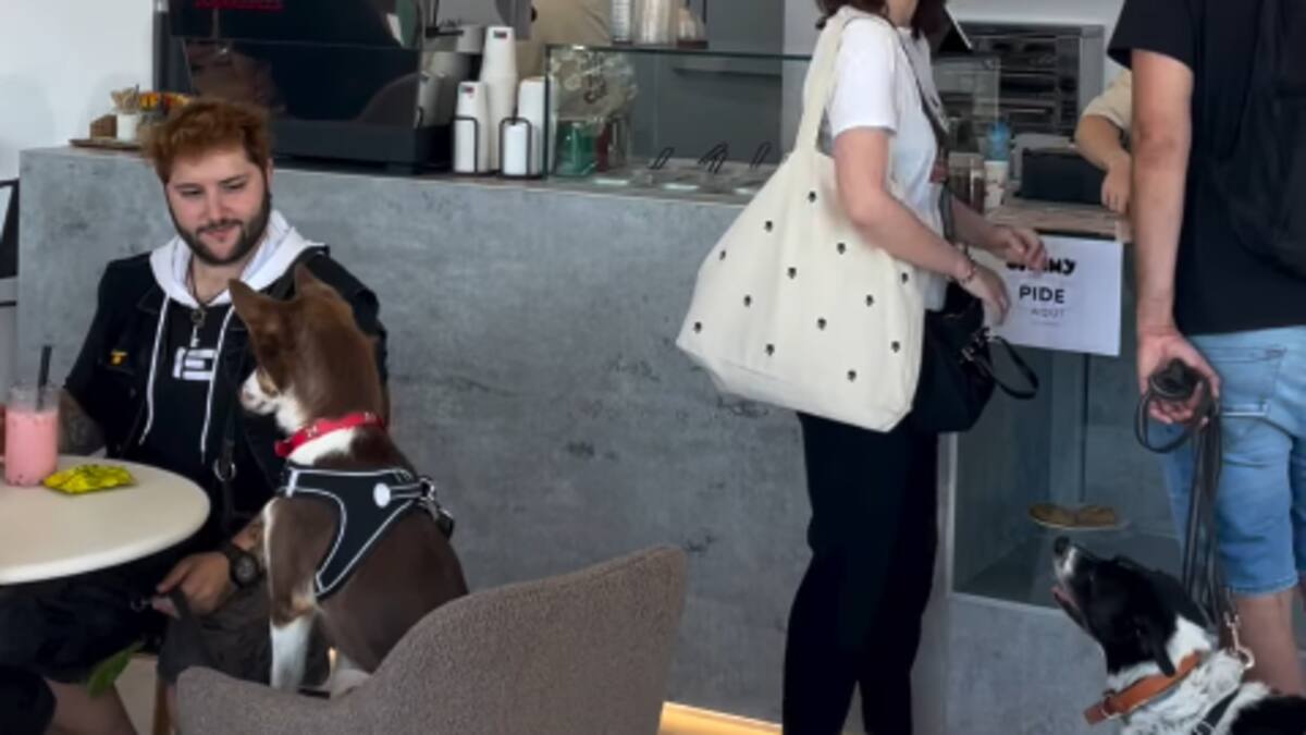 La buena vida: Sammy Pet Café