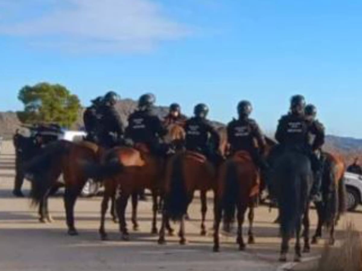 La 'Big Fucking Party' ha concluido tras siete días de música ininterrumpida, que congregó a miles de personas de todos los rincones de Europa