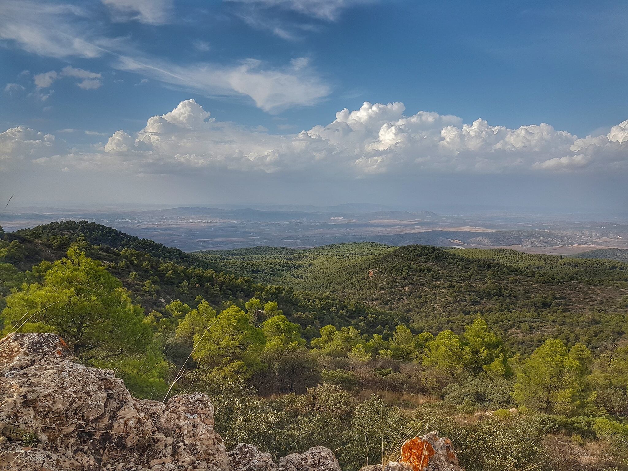 Término municipal de Villena