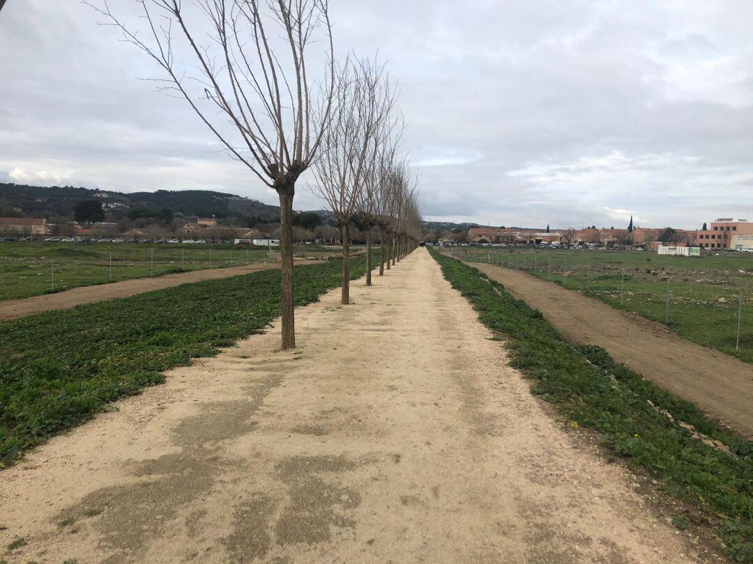 La nueva senda peatonal de Vega Baja